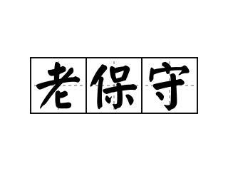 保守意思|保守的解释